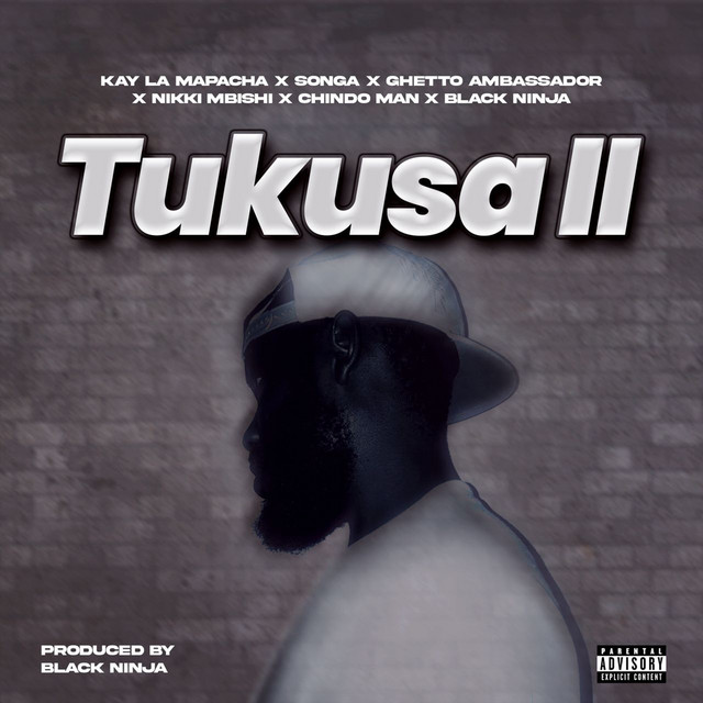 Tukusa II