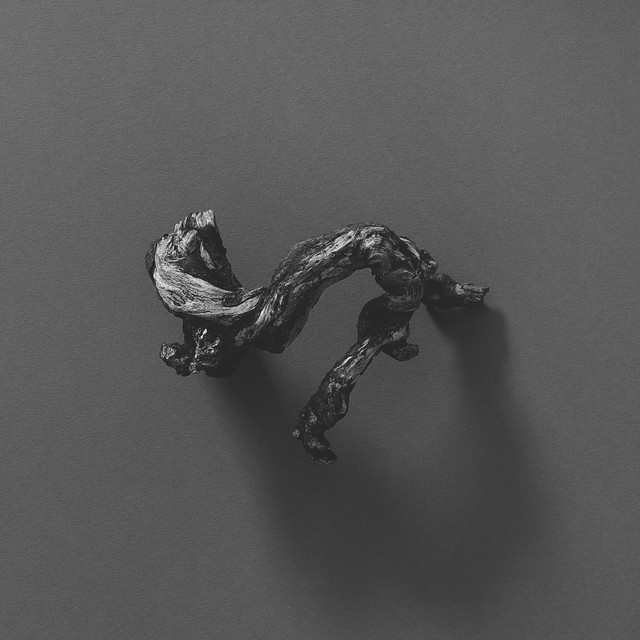 The Second Chamber cover art