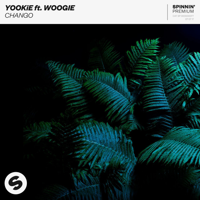 Chango (feat. Woogie) - Extended Mix