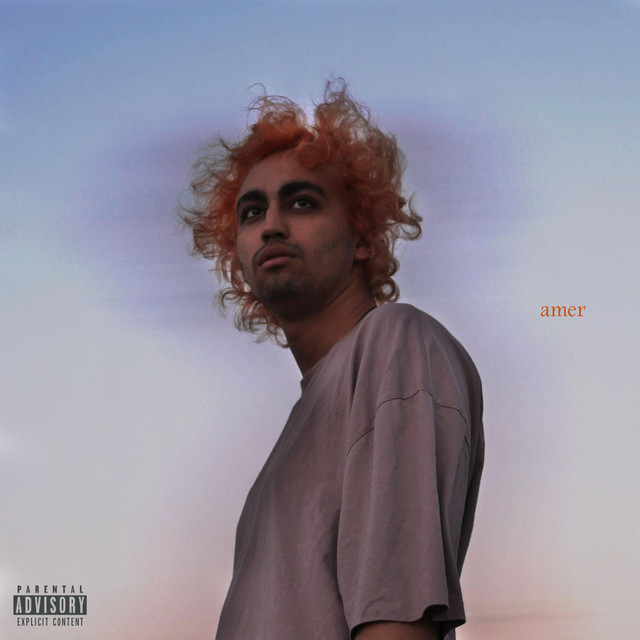 Amer cover art