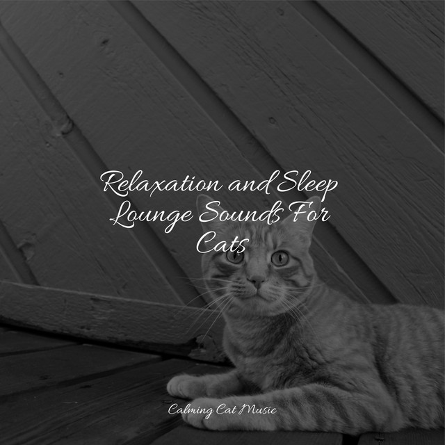 Relaxation and Sleep Lounge Sounds For Cats - Album by Pet Care Music ...