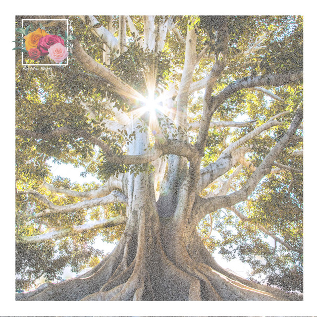 Roots cover art