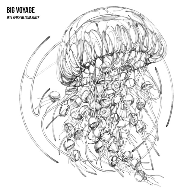 Jellyfish Bloom Suite cover
