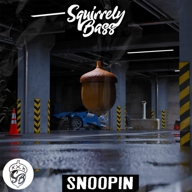 Snoopin' cover