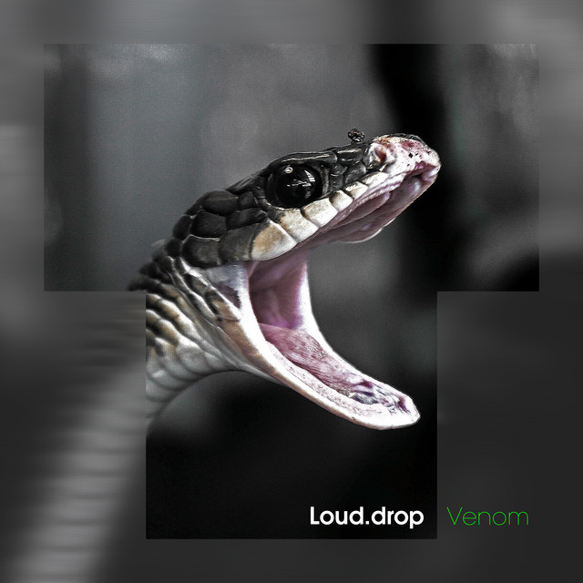 Cover art: Venom — Loud.Drop