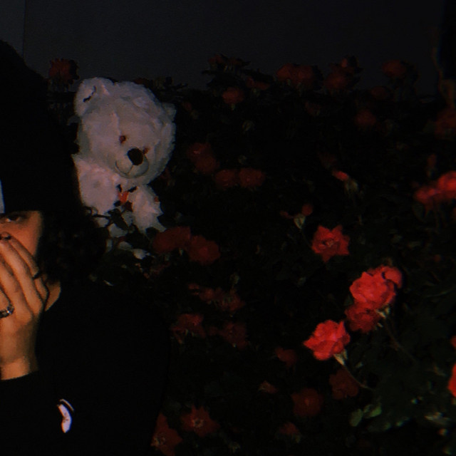 Mistake cover art