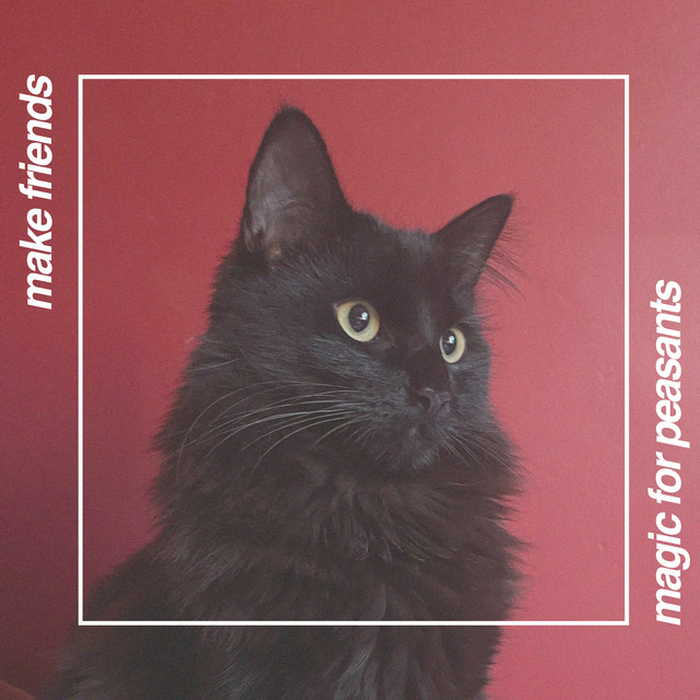 Magic For Peasants cover