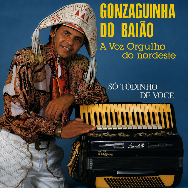 Sô Todinho de Você: A Voz Orgulho do Nordeste album image