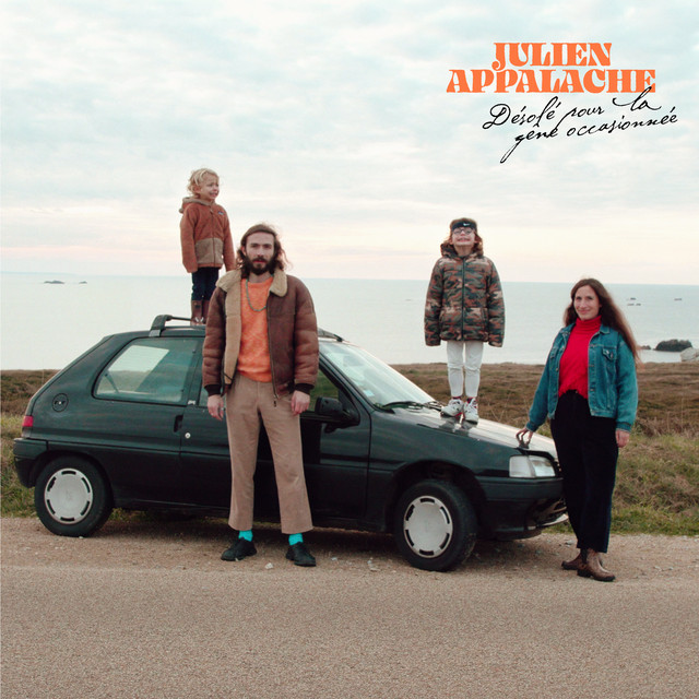 Désolé pour la gêne occasionnée cover art