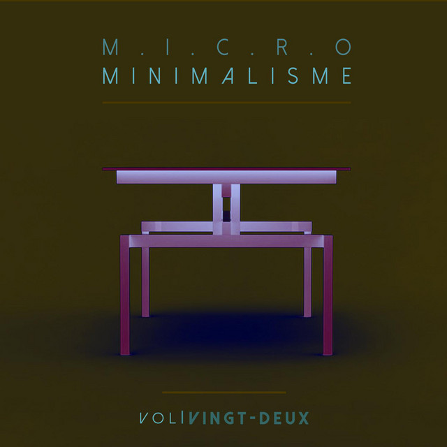 Micro Minimalisme Vol. Vingt-Deux