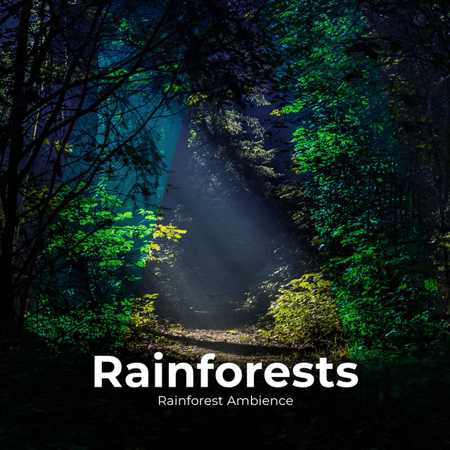 Rainforests - Album by Rainforest Ambience | Spotify