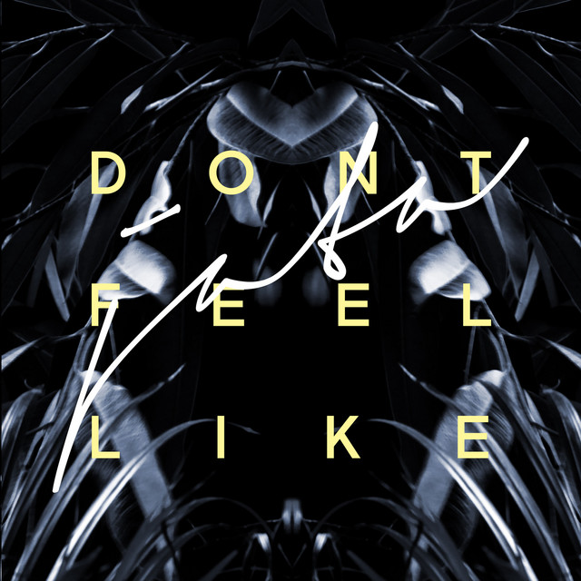Don't Feel Like cover