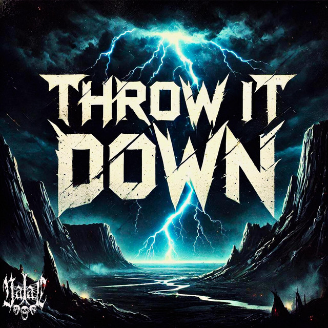 THROW IT DOWN cover art