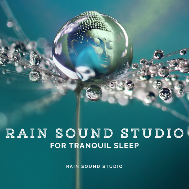 Rain Sound Studio for Tranquil Sleep - Album by Rain Sound Studio | Spotify