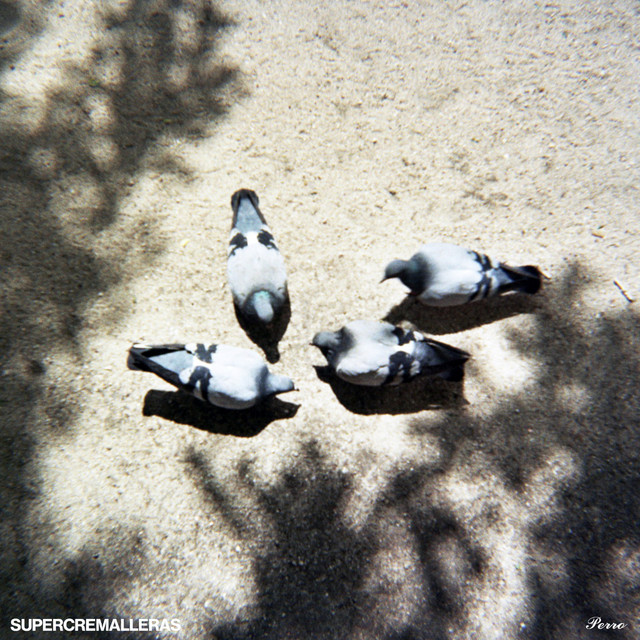 undefined album image