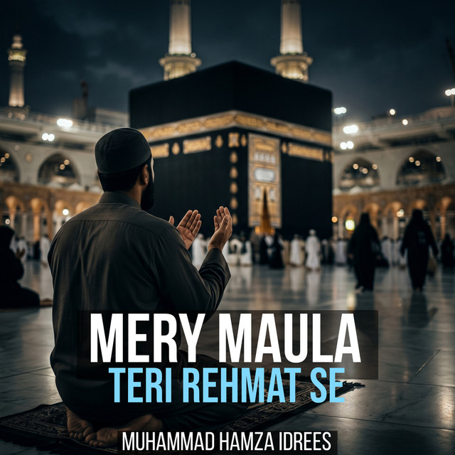 Muhammad Hamza Idrees