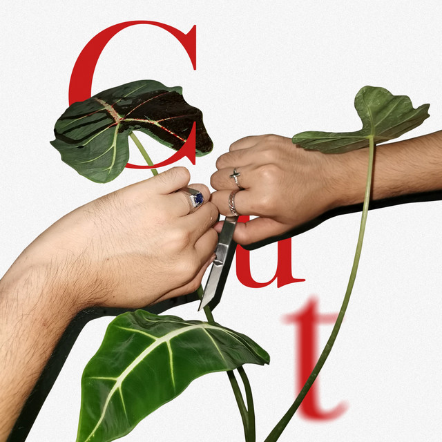 Cut cover art