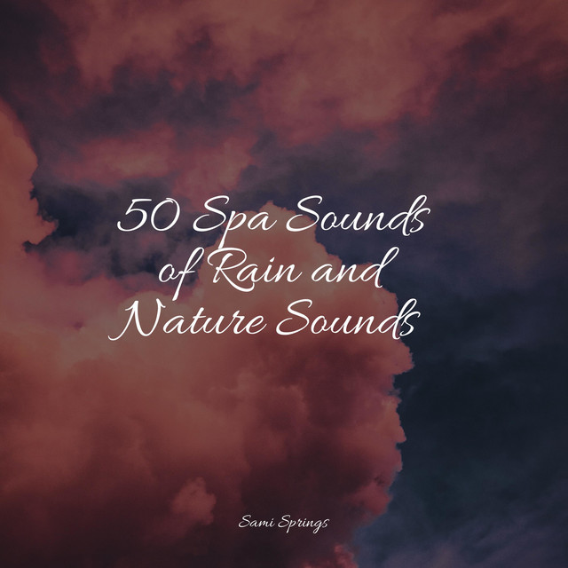 50 Spa Sounds of Rain and Nature Sounds - Album by Rain Sounds For ...