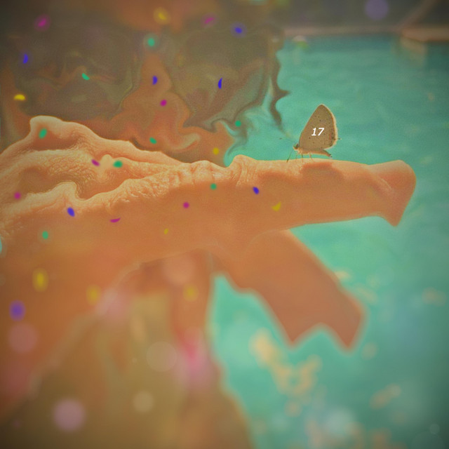 sanctuary cover