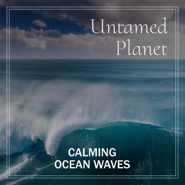 Calming Ocean Waves cover art
