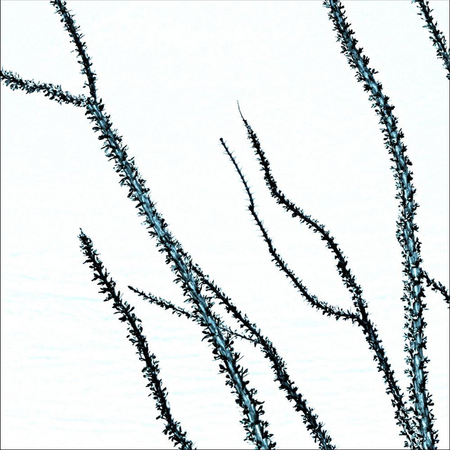 Towers cover