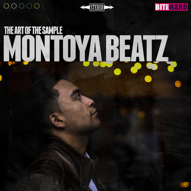 The Art of the Sample cover art