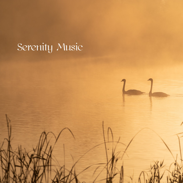 Serenity Music cover art