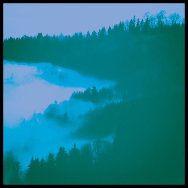 Forest cover art