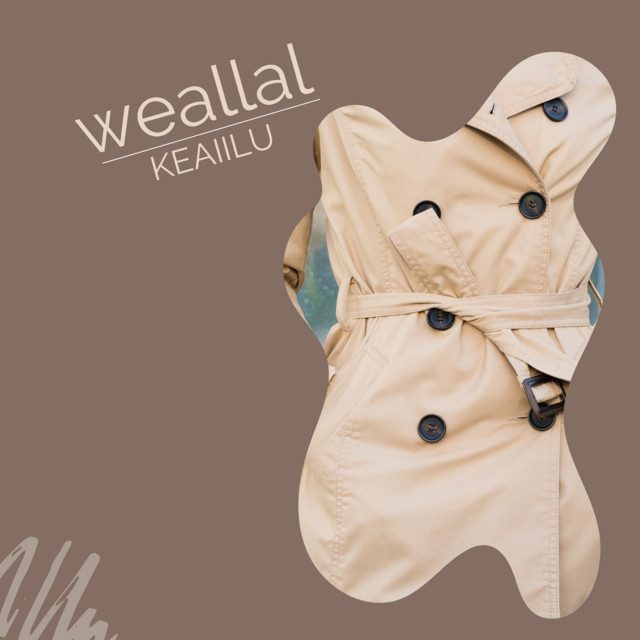 KEAIILU | Spotify