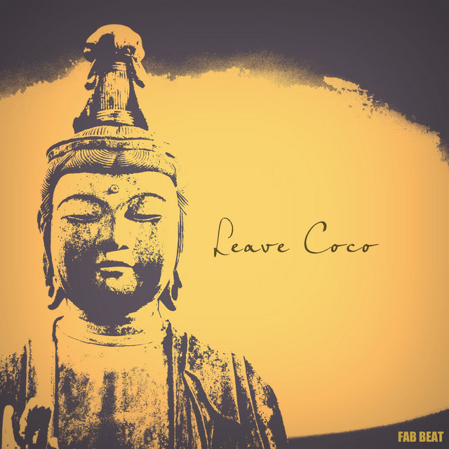 Leave Coco cover