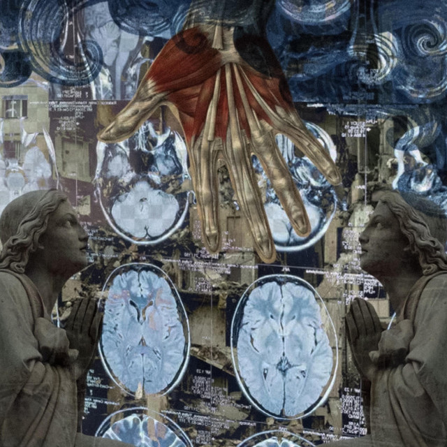 succumb cover art