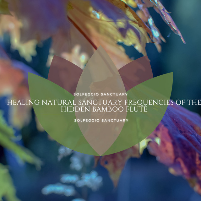 Healing Natural Sanctuary Frequencies of the Hidden Bamboo Flute cover art