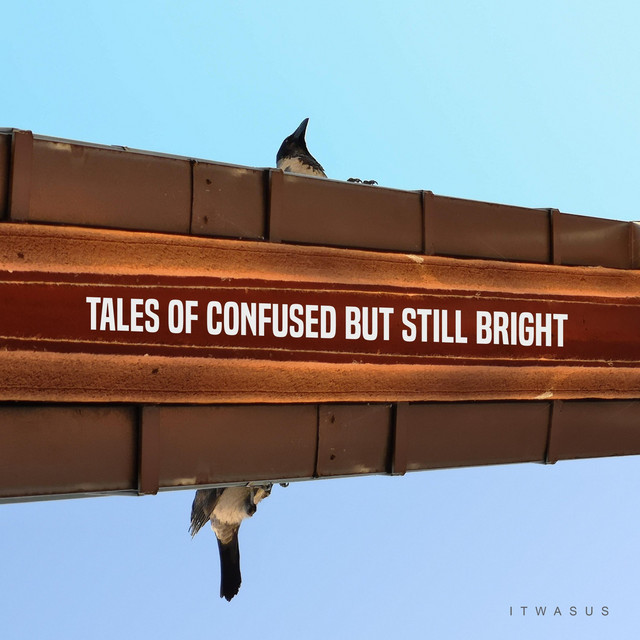 Tales of Confused but Still Bright