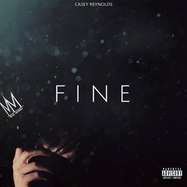 Fine cover