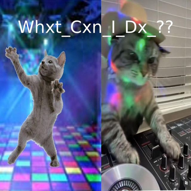 Whxt_Cxn_I_Dx??