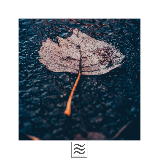 Calmful Soothing Nice Noises for Sleep Well cover art