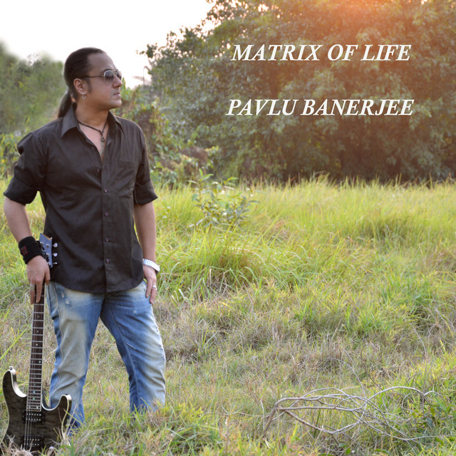 Pavlu Banerjee