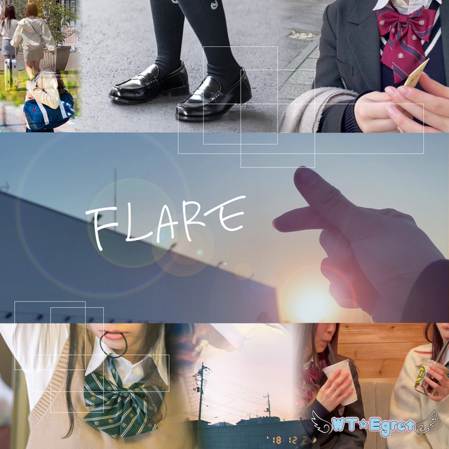 FLARE cover