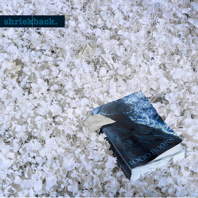 1000 Books cover art