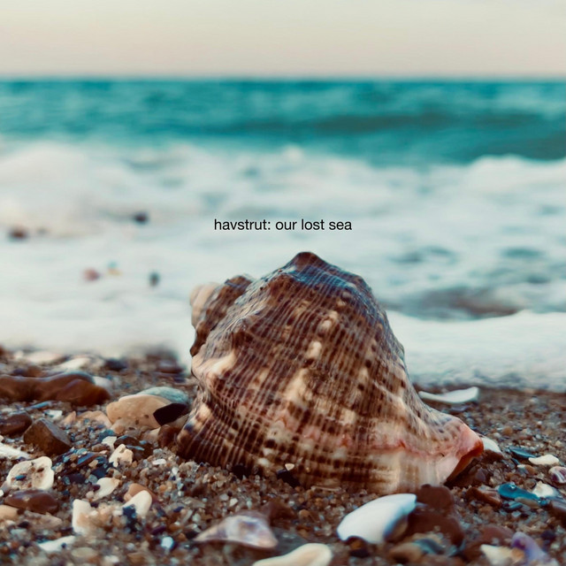 Обкладинка: our lost sea — havstrut