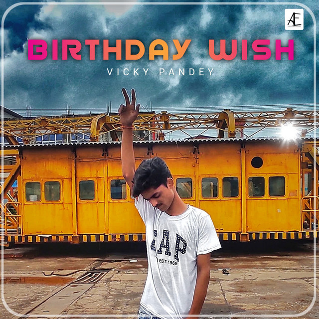 Birthday Wish - Single by Vicky Pandey | Spotify
