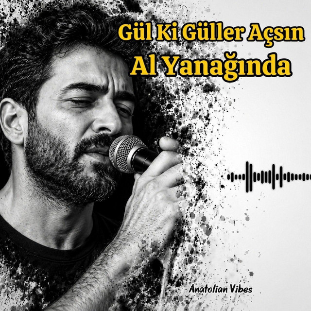 Gül Ki Güller Açsın Al Yanağında (Live Version) - Single