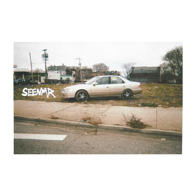 SEENMR cover art