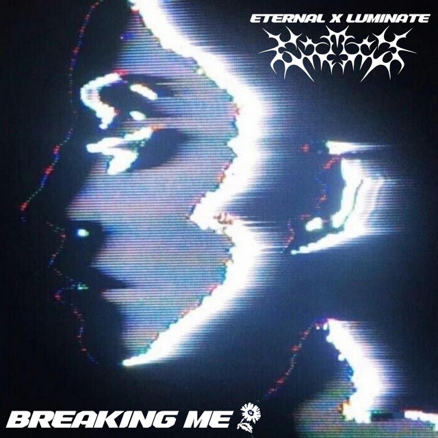 BREAKING ME