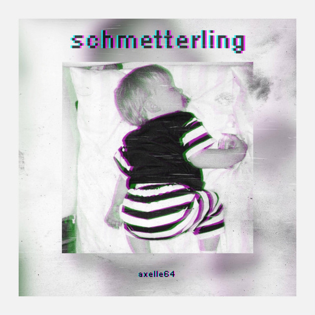 schmetterling cover