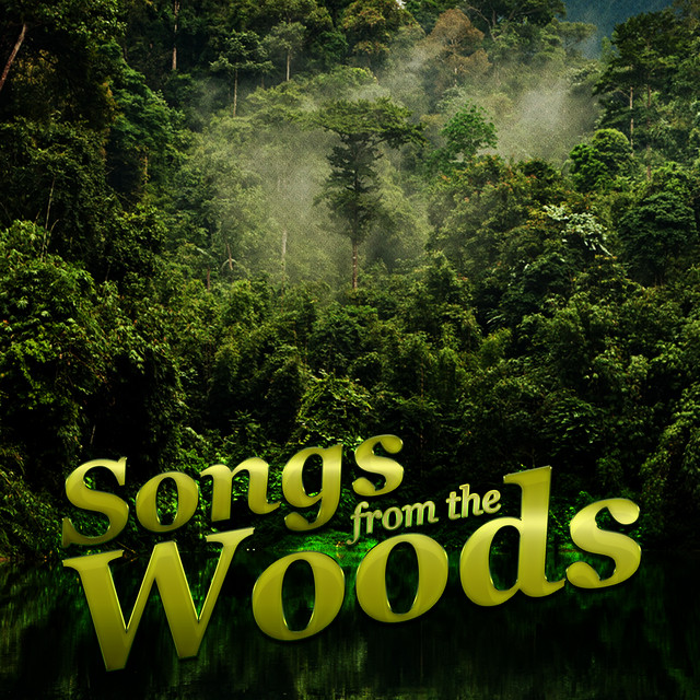 Songs from the Wood cover art