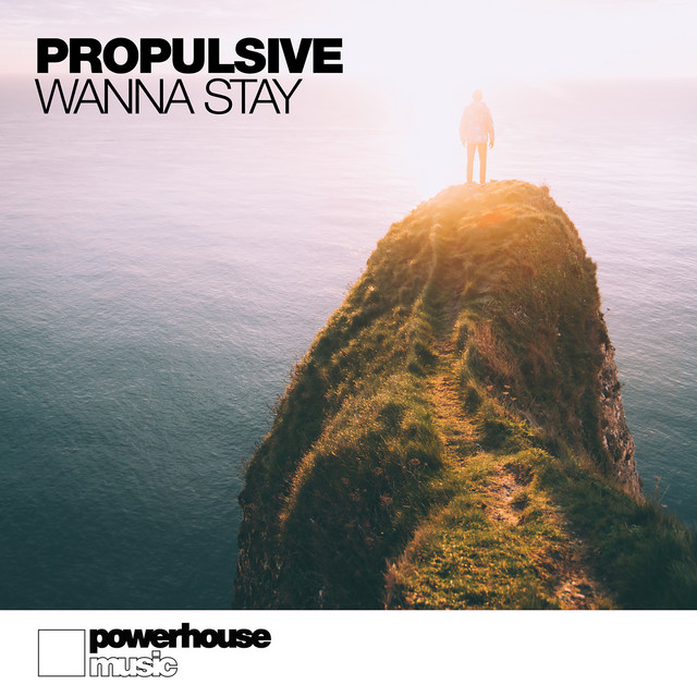 Wanna Stay cover