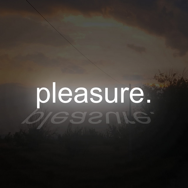 pleasure cover art