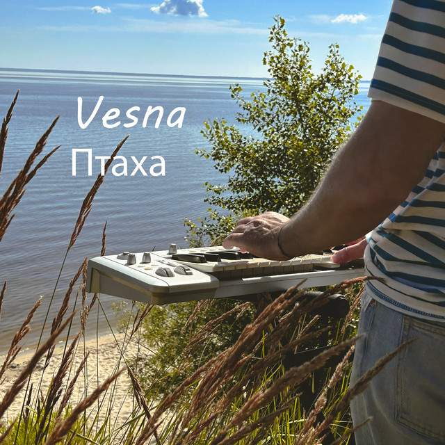 Обкладинка: Птаха — VESNA