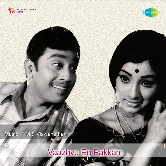 Veenaipesum cover art